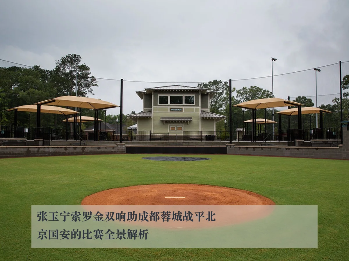 张玉宁索罗金双响助成都蓉城战平北京国安的比赛全景解析